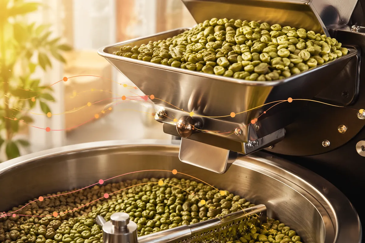 Green coffee beans loaded into a roaster hopper, the raw material for coffee extract and soluble coffee lines
